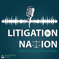 Litigation Nation
