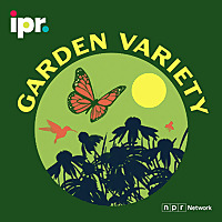 Garden Variety