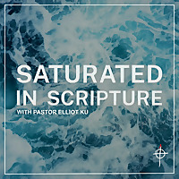 Saturated in Scripture