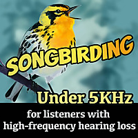 Songbirding Under 5kHz