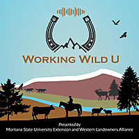 Working Wild U