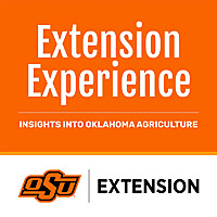 Extension Experience   Insights into Oklahoma Agriculture