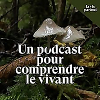 La vie partout