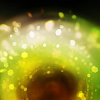 St. Louis Family Court Corruption