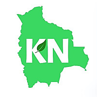 Latin America Review