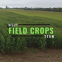 Michigan Field Crops