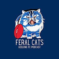 Feral Cats-Geelong