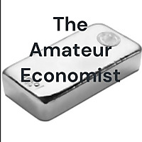 The Amateur Economist