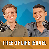 Tree of Life Israel