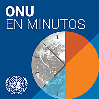 ONU en minutos