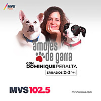 Amores de garra