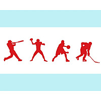 The Four Star Podcast: a show about Chicago sports