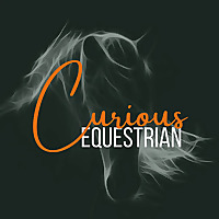 Curious Equestrian