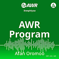 AWR Oromo / Afaan Oromoo / Oromiffa / ኦሮምኛ