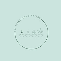 The Transition Strategy