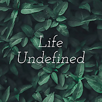 Life Undefined