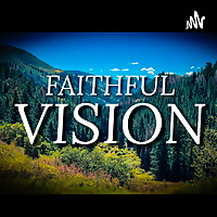 Faithful Vision