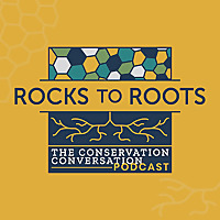 Rocks To Roots