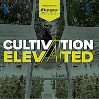 Cultivation Elevated - Indoor Farming, Cannabis Growers & Cultivators - Pipp Horticulture