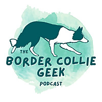 The Border Collie Geek Podcast