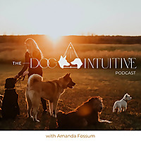 The Dog Intuitive Podcast - Giving Your Dog a Voice Using Dog Psychology and Magic