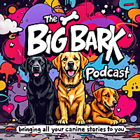 The Big Bark News and Media show