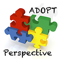 Adopt Perspective