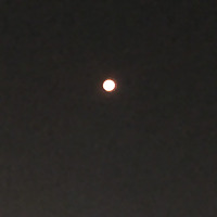 Midnight Movie Confessionals