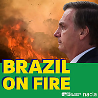Brazil on Fire