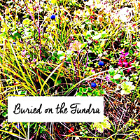 Buried on the Tundra
