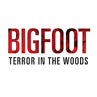 Bigfoot Terror in the Woods Sightings and Encounters