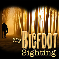 My Bigfoot Sighting
