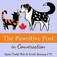 The Pawsitive Post in Conversation by Companion Animal Psychology