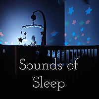 Sounds of Sleep