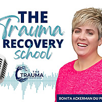 The Trauma Recovery School