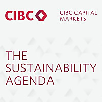 The Sustainability Agenda