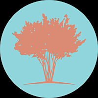 Biblical Insights with David Gooding