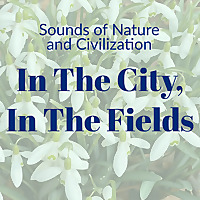 In The City, In The Fields