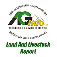 Land & Livestock Report