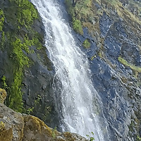 W.I.T.H. Yellowstone