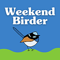 Weekend Birder