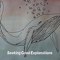 Seeking Good Explanations