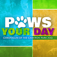 Paws Your Day