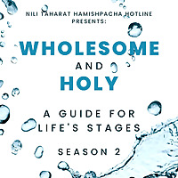 Wholesome and Holy: Conversations for Jewish Women