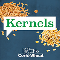 Kernels with Ohio Corn & Wheat