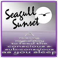 Seagull Sunset: Sleep-It-Off Story