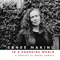 Sense-Making in a Changing World