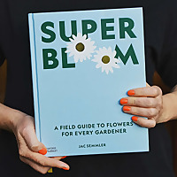 Super Bloom: A field guide to flowers for every gardener