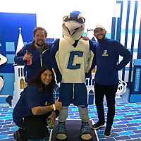 Bluejays at The B.