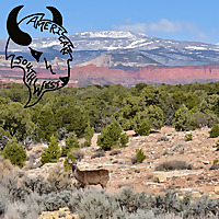 The American Southwest